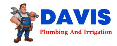 Trusted plumber in FONDA